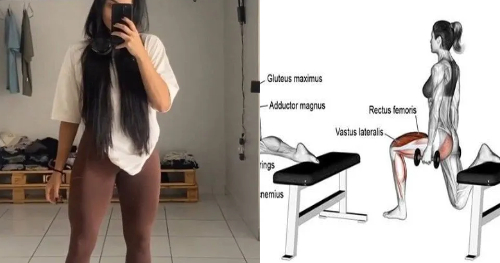 Guía Completa para Fortalecer tus Cuádriceps: Rutina, Alimentación y Masa Muscular